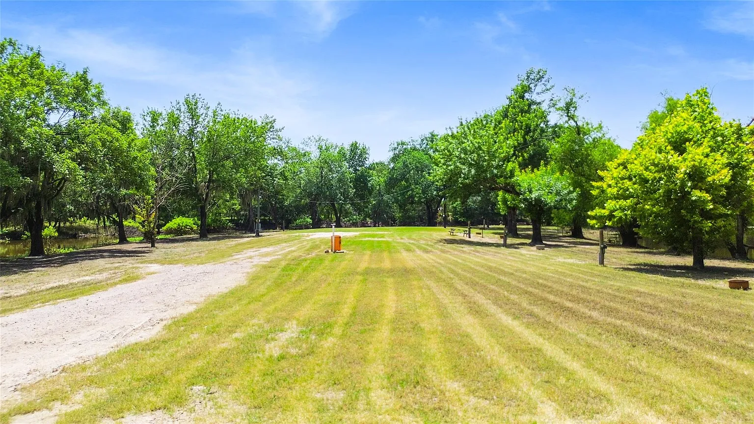 Wide open grounds for camping, with the creek just beyond the treeline